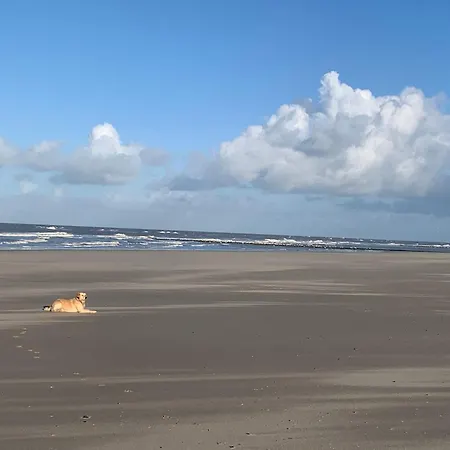 Traumblick Am Wattenmeer: Erste Reihe Naturparadies * Westerland