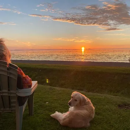 Traumlage Nr 58 Traumblick Direkt Am Wattenmeer Erste Reihe Unendliche Weite, Eingebettet In Der Westerland