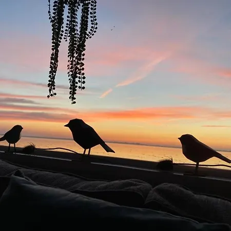 Holiday home Traumblick Am Wattenmeer: Erste Reihe Naturparadies *