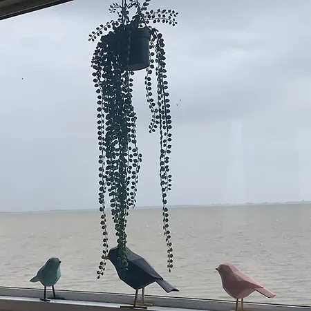 Traumlage Nr 58 Traumblick Direkt Am Wattenmeer Erste Reihe Unendliche Weite, Eingebettet In Der Casa vacanze