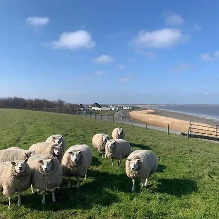 Traumlage Nr 58 Traumblick Direkt Am Wattenmeer Erste Reihe Unendliche Weite, Eingebettet In Der Hébergement de vacances *