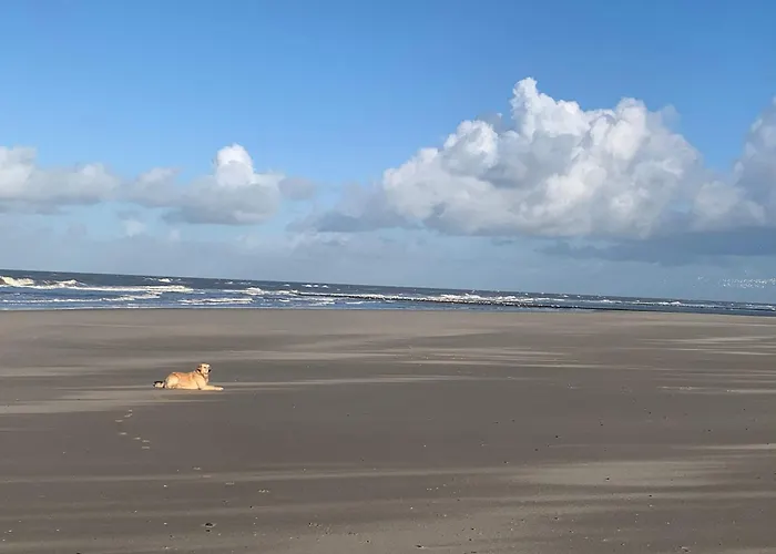 Traumlage Nr 58 Traumblick Direkt Am Wattenmeer Erste Reihe Unendliche Weite, Eingebettet In Der * Westerland