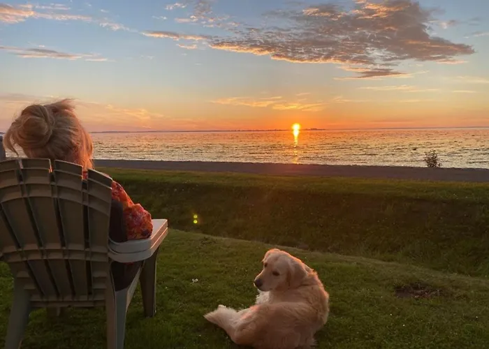 Traumlage Nr 58 Traumblick Direkt Am Wattenmeer Erste Reihe Unendliche Weite, Eingebettet In Der Westerland