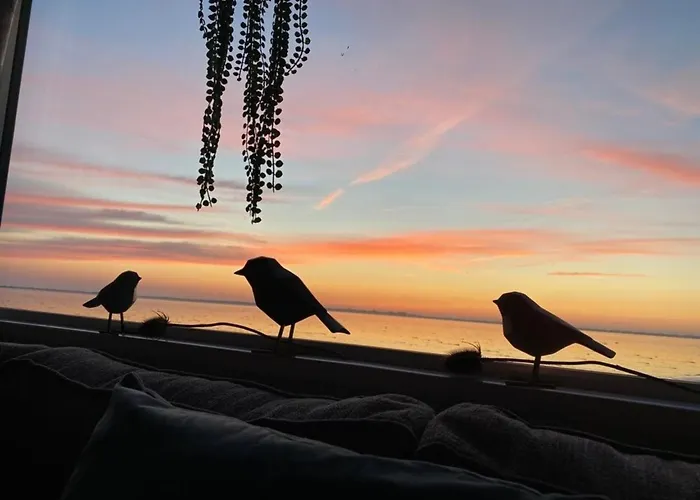 Дом отдыха Traumlage Nr 58 Traumblick Direkt Am Wattenmeer Erste Reihe Unendliche Weite, Eingebettet In Der *