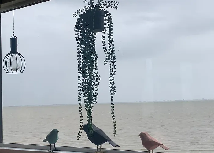 Traumlage Nr 58 Traumblick Direkt Am Wattenmeer Erste Reihe Unendliche Weite, Eingebettet In Der Дом отдыха